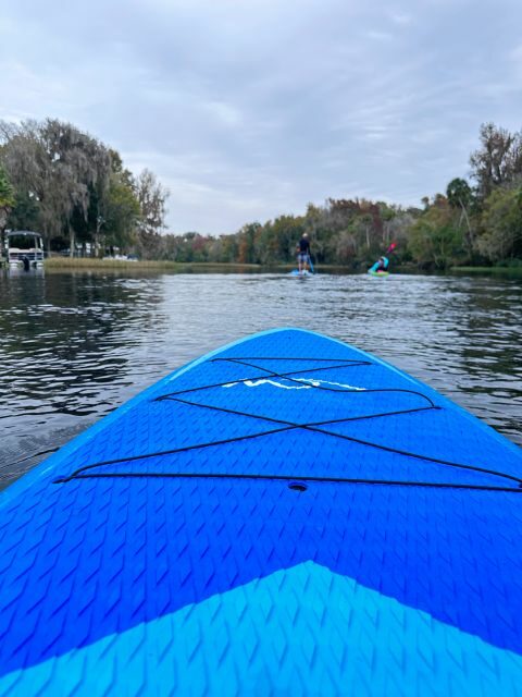 Kings Bay/Three Sisters: Self Guided Tour- ClearBottom Kayak - The Itinerary and What to Expect