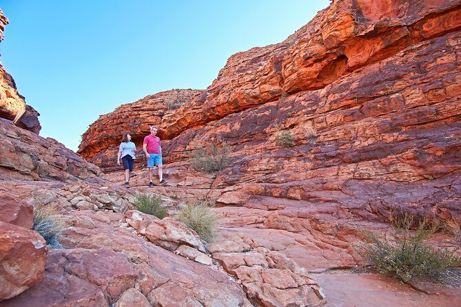 Kings Canyon Day Trip from Ayers Rock (Uluru) - The Two Main Walk Options