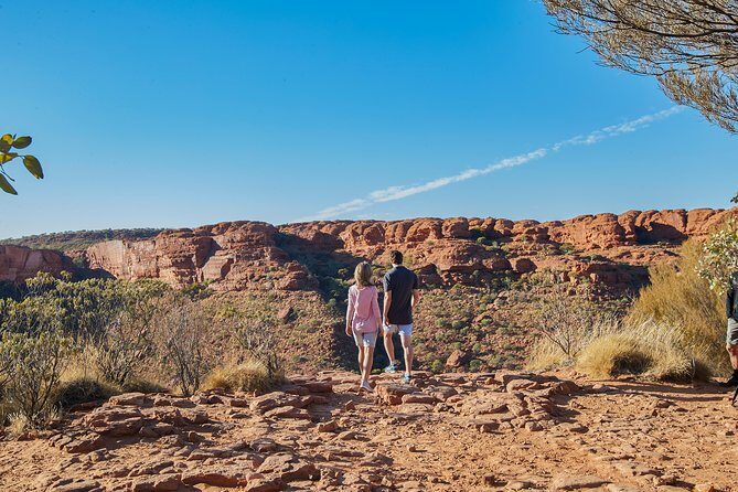 Kings Canyon Day Trip from Ayers Rock (Uluru) - What the Reviews Say