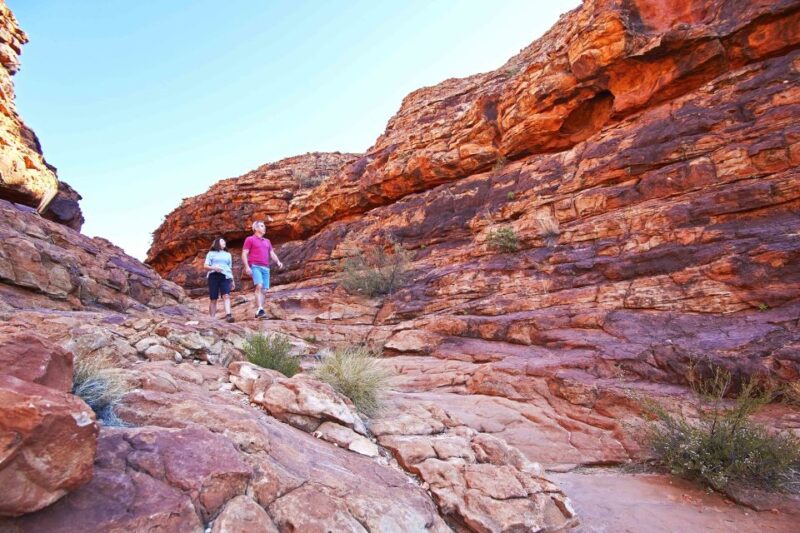 Kings Canyon: Full-Day Tour From Ayers Rock Resort - Inclusions