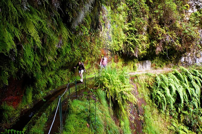 Kings Levada / Ribeiro Bonito - Booking Information