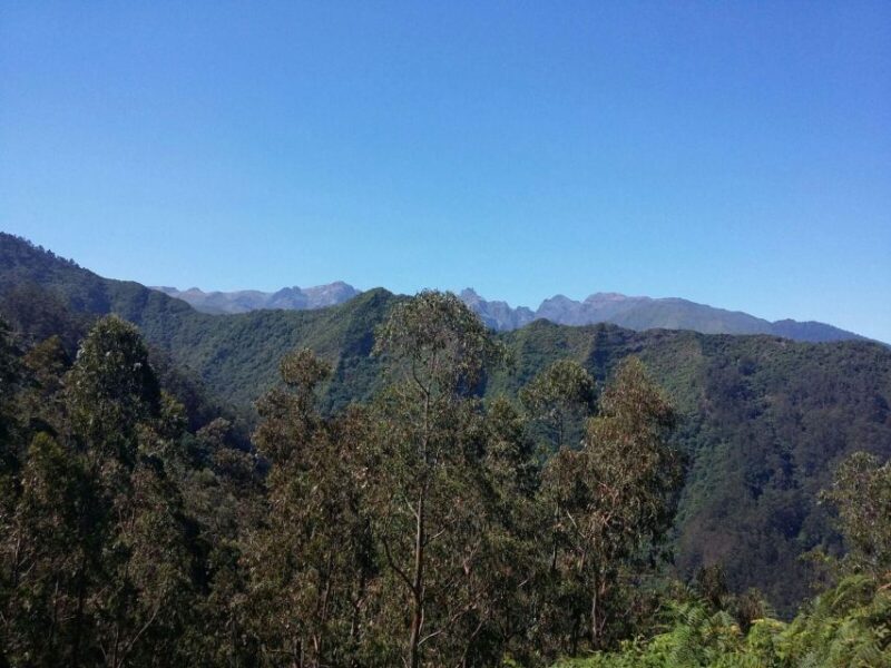 Kings Levada (Ribeiro Bonito) - Tour Details
