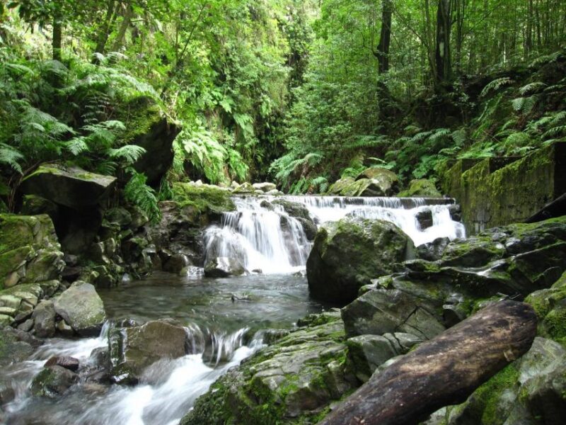 Kings Levada (Ribeiro Bonito) - Frequently Asked Questions