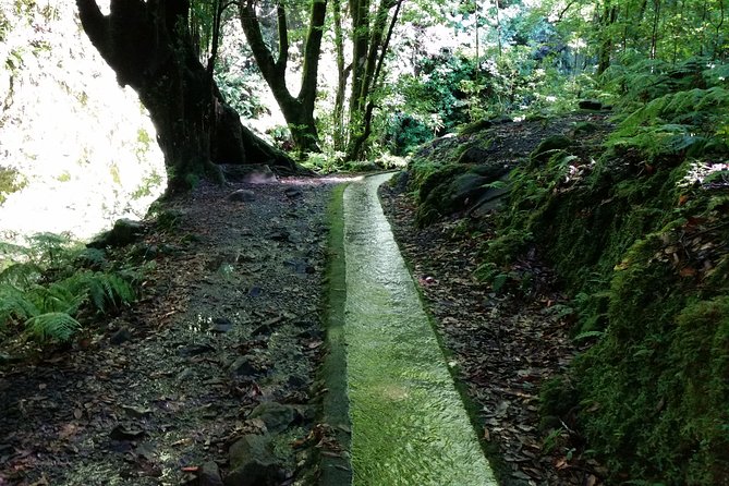 Kings Levada - São Jorge - Overview of Kings Levada