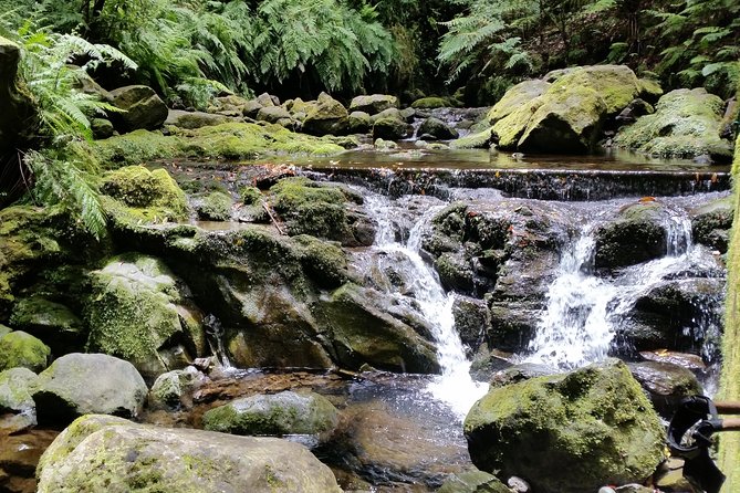Kings Levada - São Jorge - Group Size and Fitness