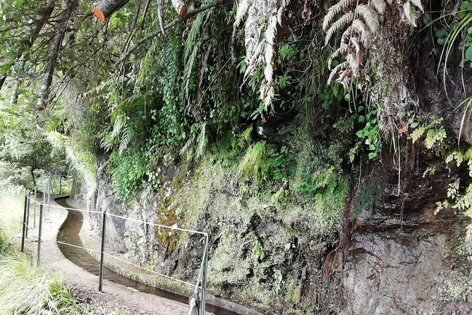 Kings Levada - São Jorge - Transportation and Accessibility