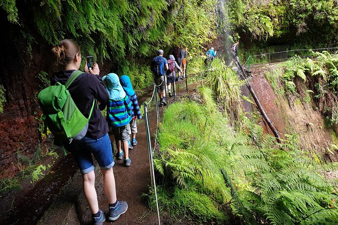 Kings Levada - São Jorge - Booking and Cancellation