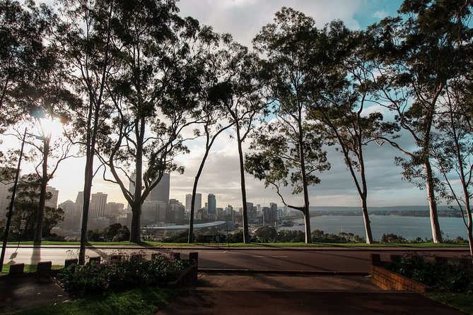 Kings Park Botanicals And Beyond - Meeting Point