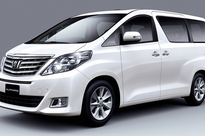 Kingston Airport Private Transfer to Riu Ocho Rios - Accessibility and Participation