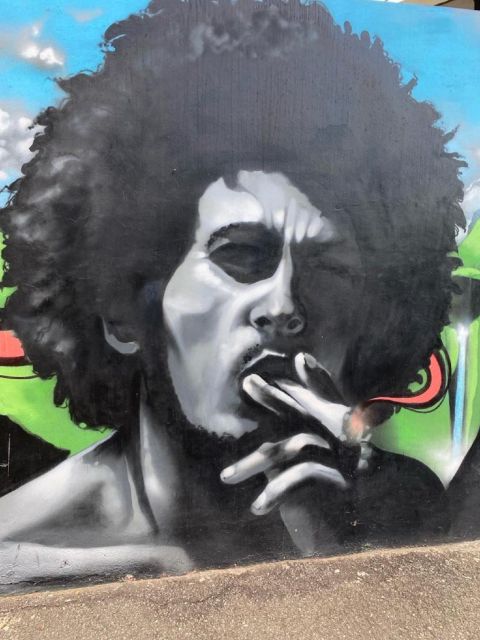 Kingston Bob Marley Museum: Full-Day Excursion - Pickup and Drop-off Locations