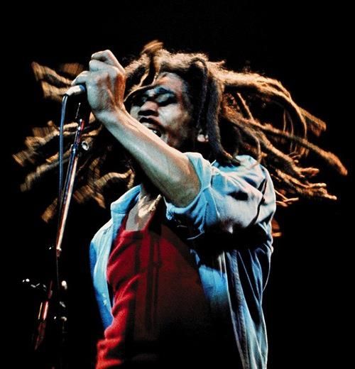 Kingston Bob Marley Museum: Full-Day Excursion - Entry Fee and Payment