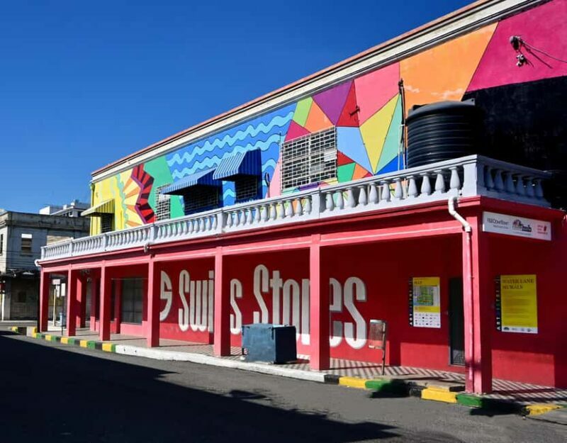 Kingston Creative: Mural Art Walking Tour - The Experience: What to Expect