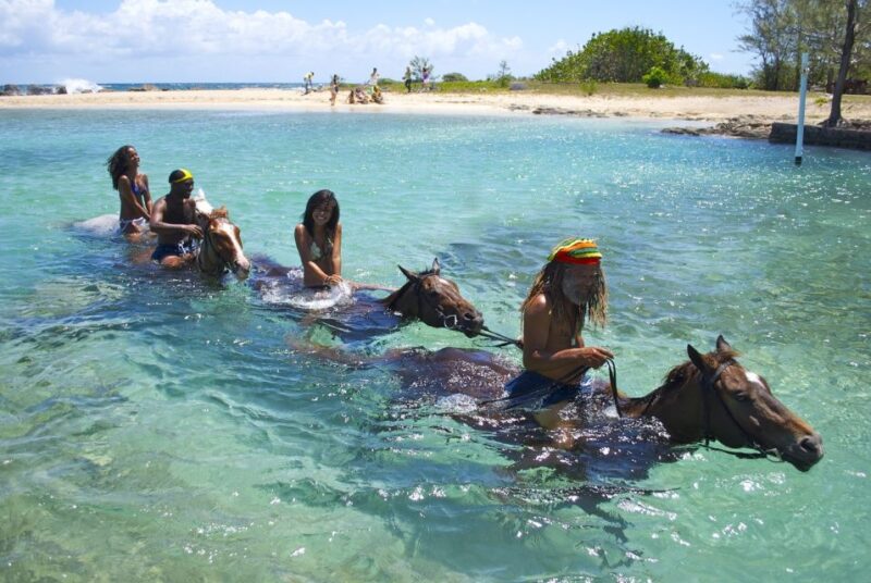 Kingston: Horseback Ride and Swim Excursion - Scenic Drive Through Countryside