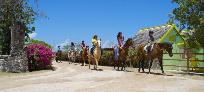 Kingston: Horseback Ride and Swim Excursion - Meals and Drinks Options