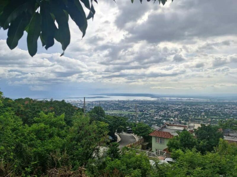 Kingston like a local  the authentic city tour - Why this tour offers good value