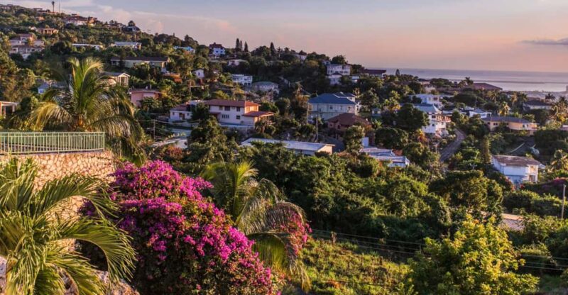 Kingston's Cultural Pulse: Private Full-Day Tour - Key Points