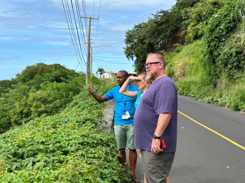 Kingstown: Cascading Dark View Falls and Beach Tour - Itinerary and Highlights