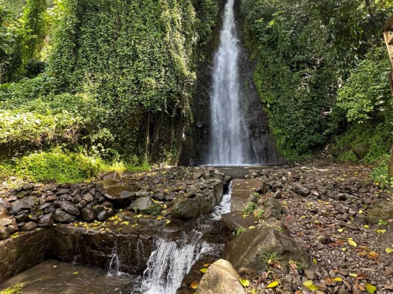 Kingstown: Cascading Dark View Falls and Beach Tour - Inclusions