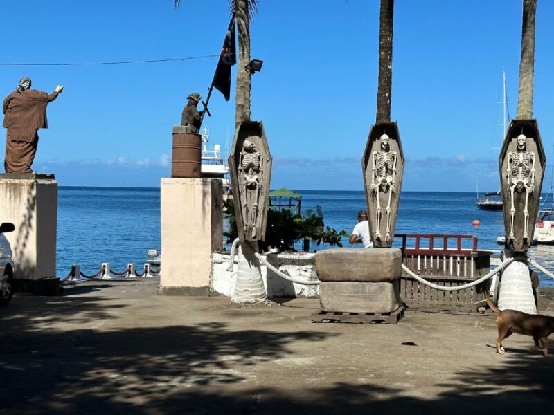 Kingstown: Cascading Dark View Falls and Beach Tour - Customer Ratings and Reviews