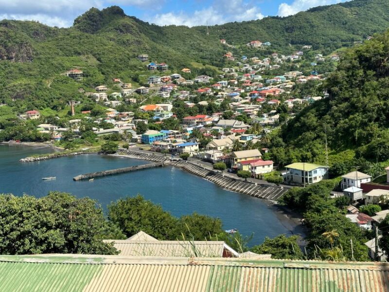 Kingstown: Cascading Dark View Falls and Beach Tour - Important Information