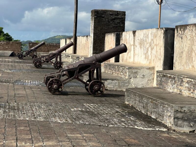 Kingstown: Sightseeing Tour and Beach Package - Pickup and Dropoff Details