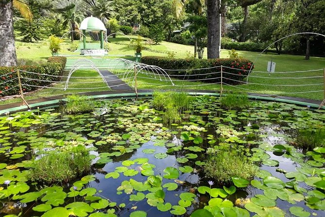 Kingstown Tour And Beach - Private Tour - Tour Overview