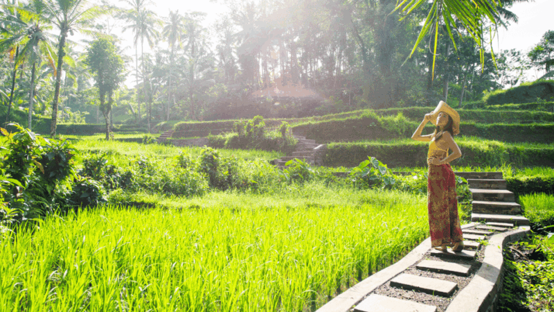 Kintamani All In: Tegalalang, Tirta Empul, Penelokan, Etc - Experience Highlights