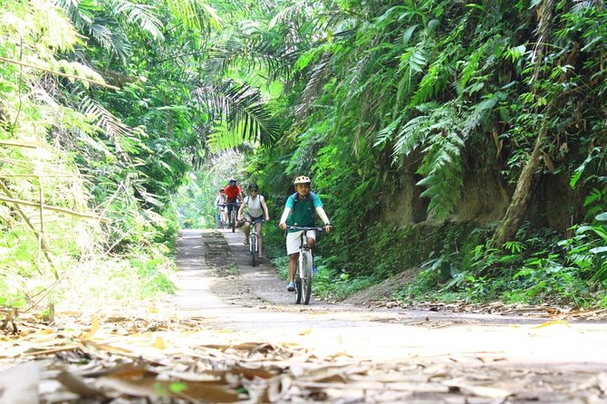 Kintamani Cultural and Nature Cycling Tour - Practical Considerations