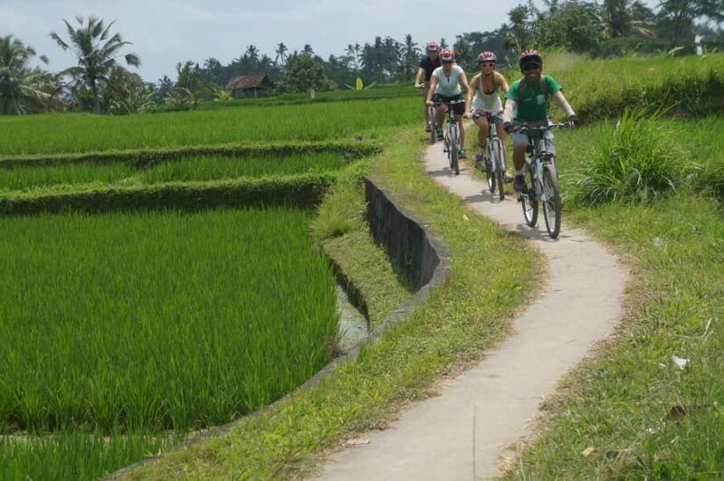 Kintamani Culture and Nature Guided Cycling Tour - Practical Details and Logistics
