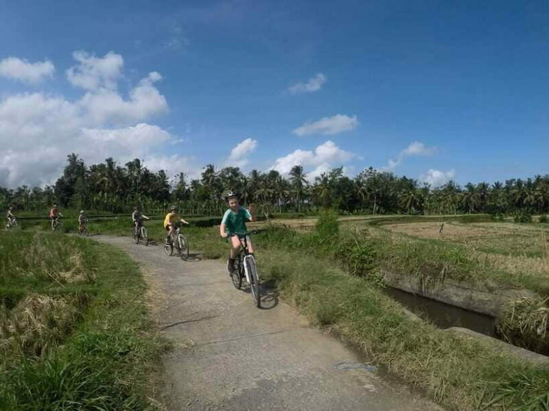 Kintamani Culture and Nature Guided Cycling Tour - Authentic Experiences That Stand Out