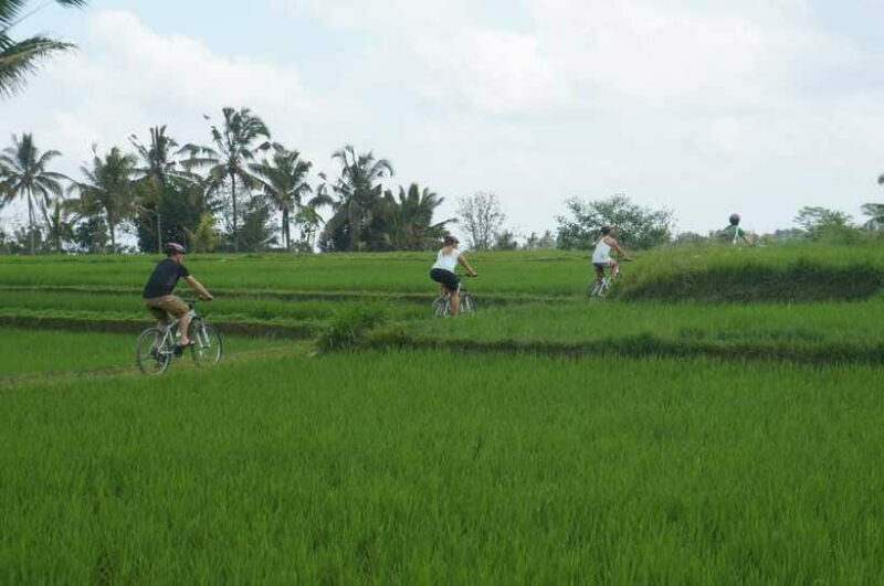 Kintamani Culture and Nature Guided Cycling Tour - Final Words