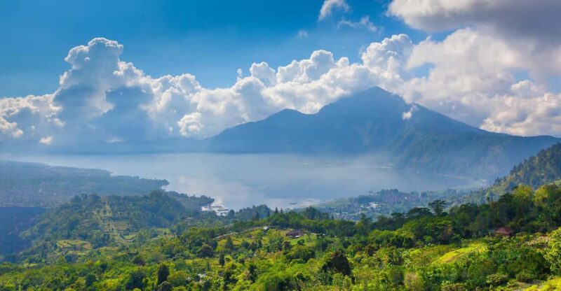 Kintamani: Full Day Tour Tegalalang Rice Field, Goa Gajah - Inclusions