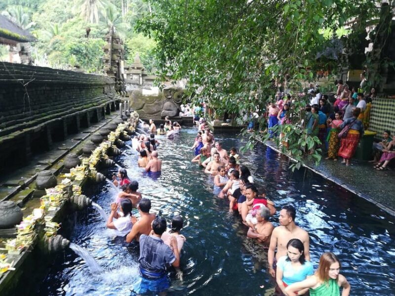 Kintamani: Full Day Tour Tegalalang Rice Field, Goa Gajah - Visiting Tirta Empul Temple