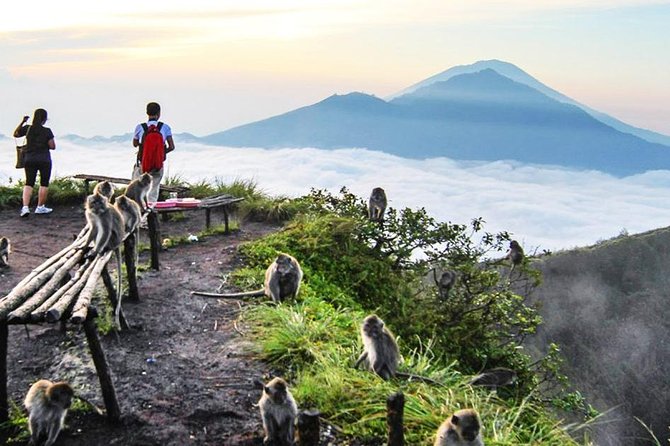 Kintamani Highland Tour With Barong Dance Review - Transportation and Pickup
