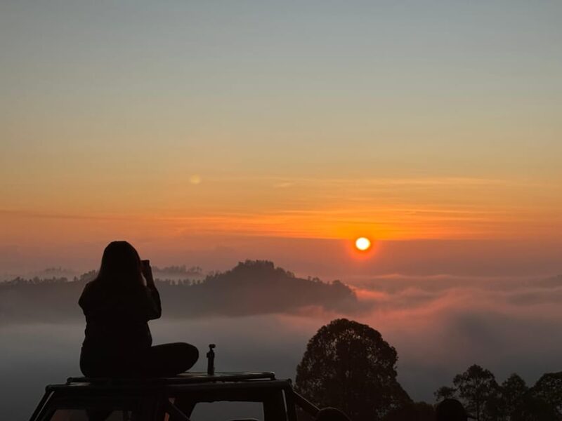 Kintamani Jeep Sunrise & Tirta Empul Temple - Overview and Pricing