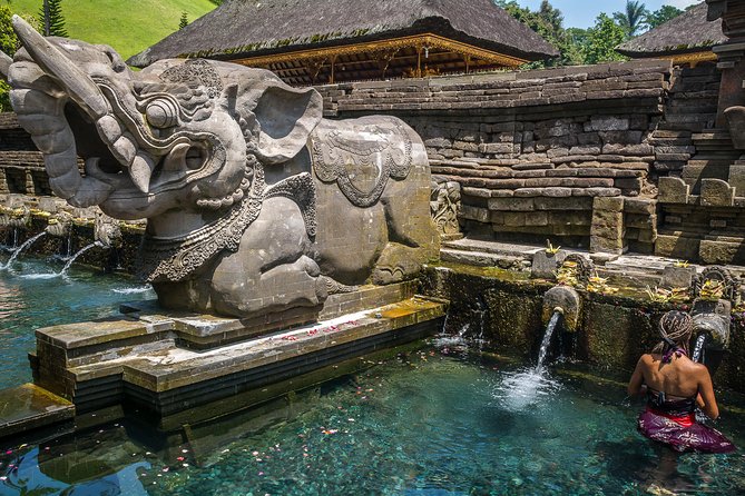 Kintamani Private Tour:Tegalalang Rice Terraces, Goa Gajah Temple - Celuk Village