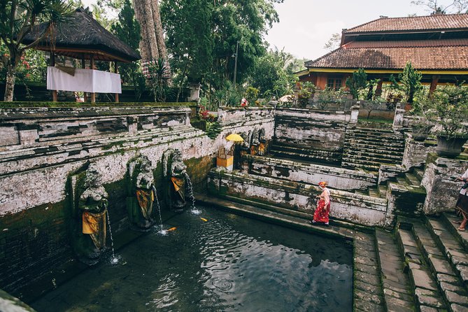 Kintamani Private Tour:Tegalalang Rice Terraces, Goa Gajah Temple - Additional Stops