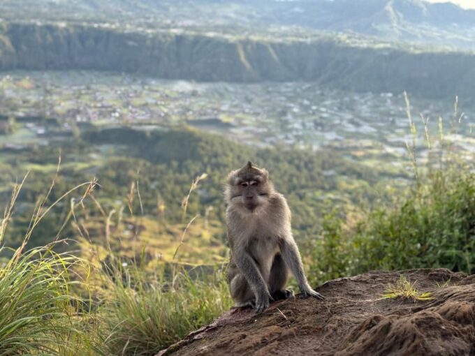 Kintamani: Sunrise Hike in Mount Batur - What to Bring