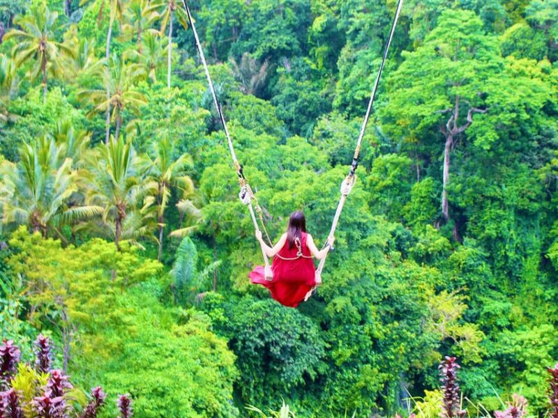 Kintamani : Tirta Empul, Tegallalang /1 Day Private Tour - Ulun Danu Batur