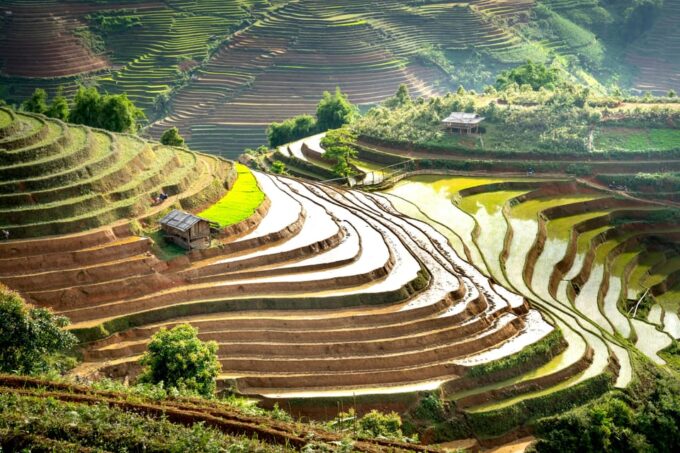Kintamani Tour: Full Day With Ubud Village - Frequently Asked Questions