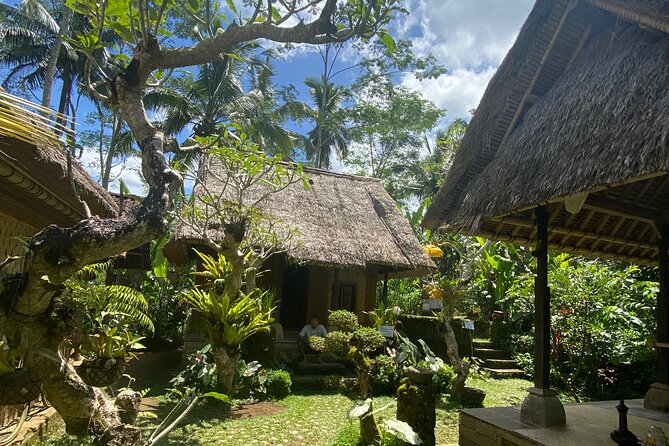 Kintamani Tours With Batur Volcano - Tour Operator and Pricing