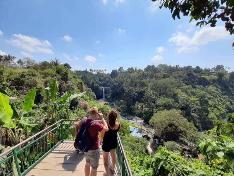 Kintamani: Volcano The Heritage of Bali Tour - Key Points