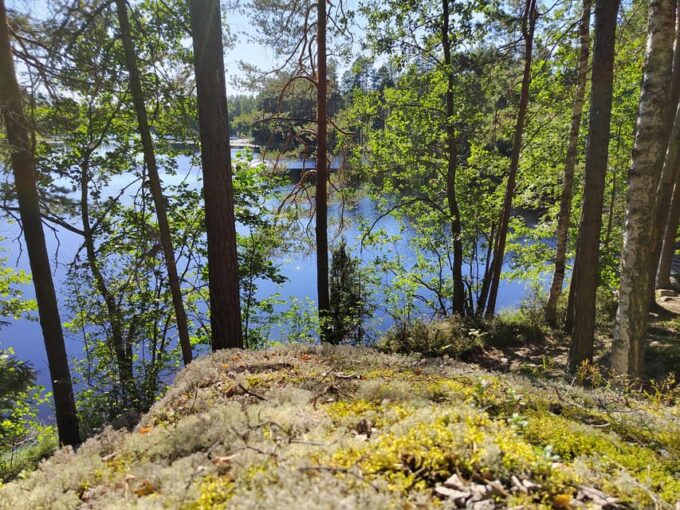 Kintulammi Nature Experience - Frequently Asked Questions