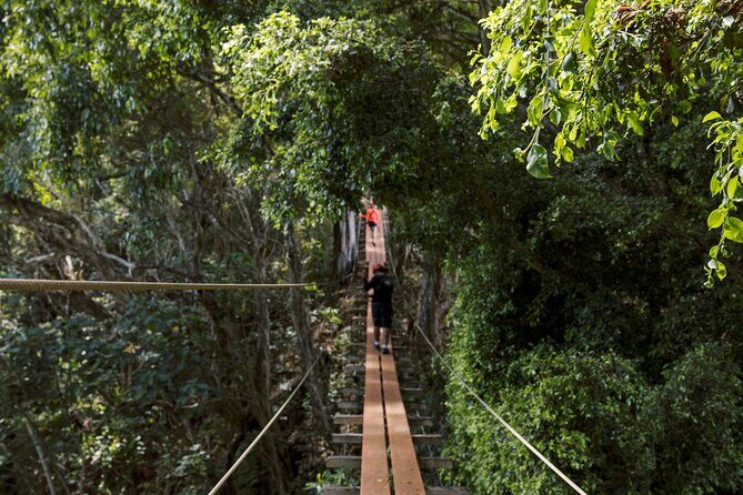 Kipu Zipline Safari - Kayak, Hike & Zipline with Outfitters Kauai - The Sum Up