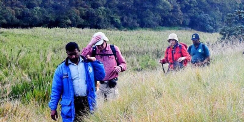 Kirigalpoththa Mountain Hike Through Horton Plains - Key Points