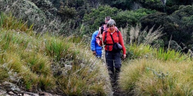 Kirigalpoththa Mountain Hike Through Horton Plains - Inclusions