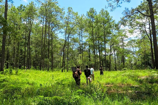 Kirirom National Park Private Day Tour From Phnom Penh - Exploring Chambok Village