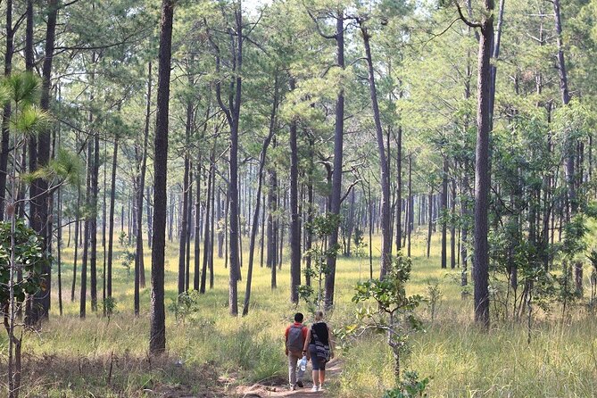 Kirirom National Park Private Day Tour From Phnom Penh - Panoramic Mountain Viewpoints