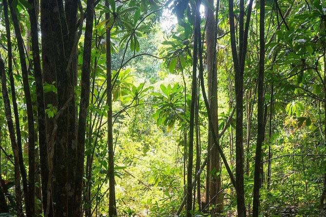 Kirirom National Park Private Day Tour From Phnom Penh - Tour Duration and Logistics