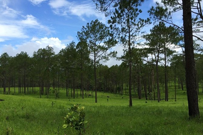 Kirirom National Park Private Day Tour From Phnom Penh - Traveler Requirements and Group Size